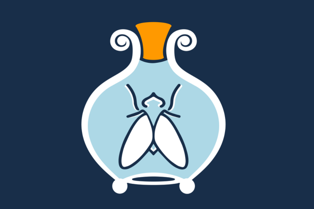Fliegenglas logo lang