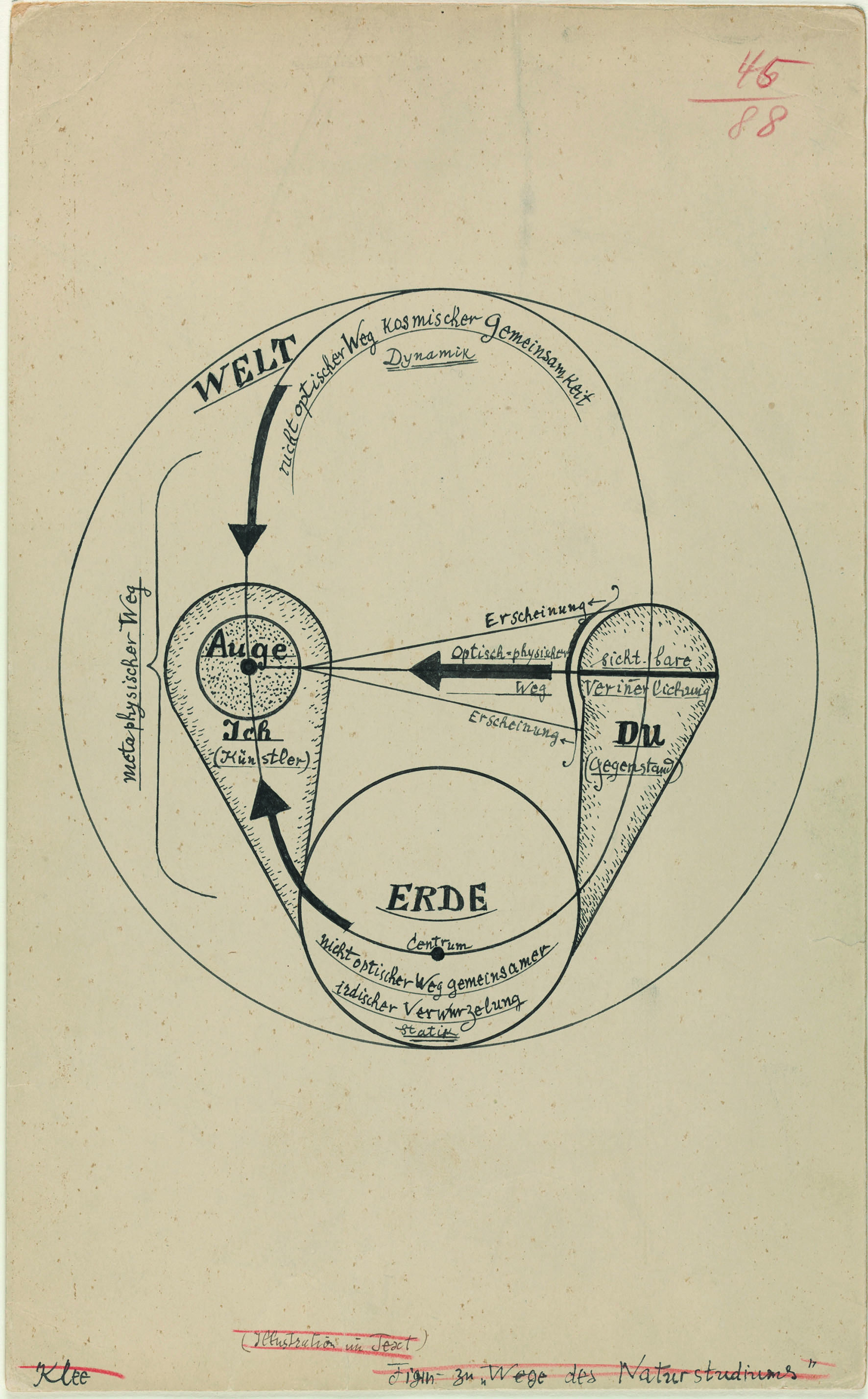 Klee bild1 24630 1