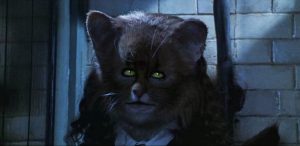 Hermione-cat 1-300x146